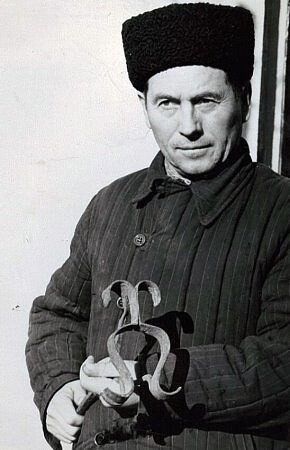 Тамга Даурова