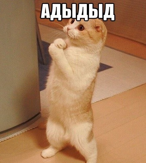 Черкесские шутки